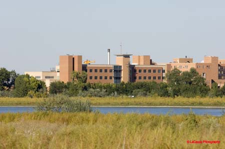_DSC0066